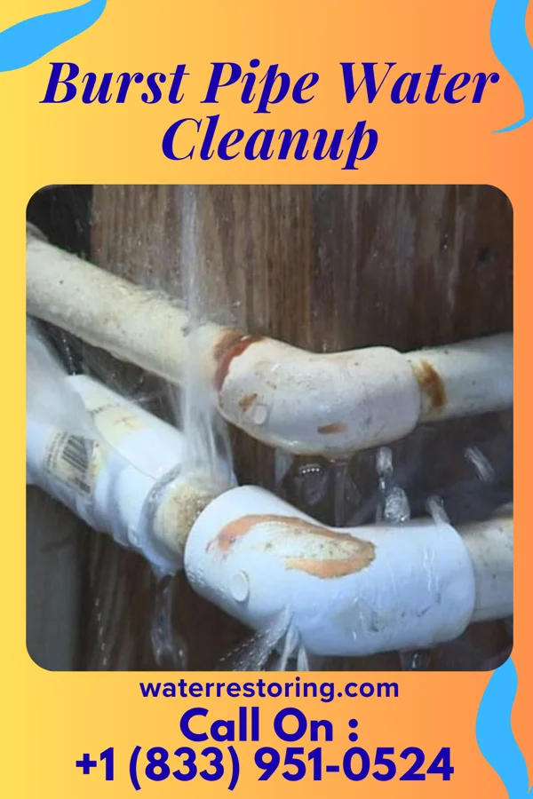 Burst Pipe Water Cleanup in Mosquero, NM